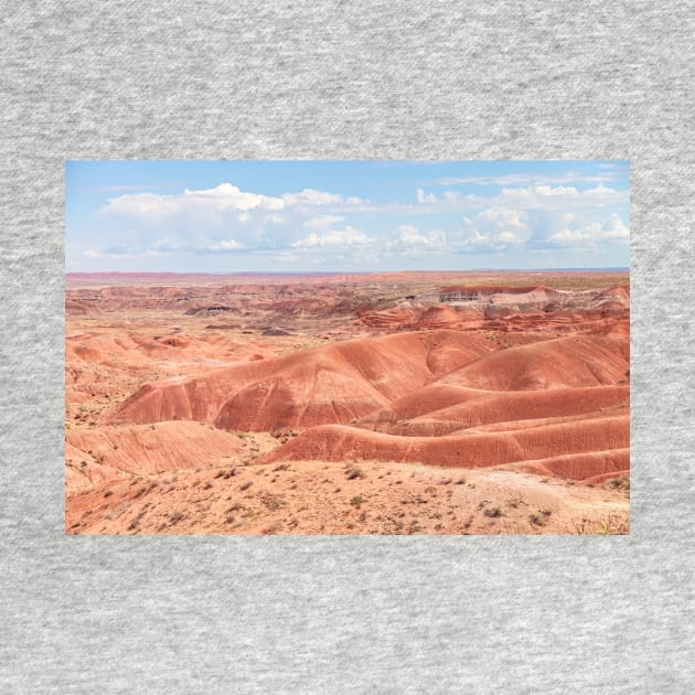 Painted Desert by jvnimages